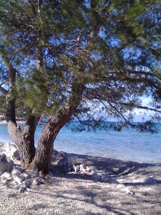 Umfeld 100m von Villa Elizabet Villa Elizabet