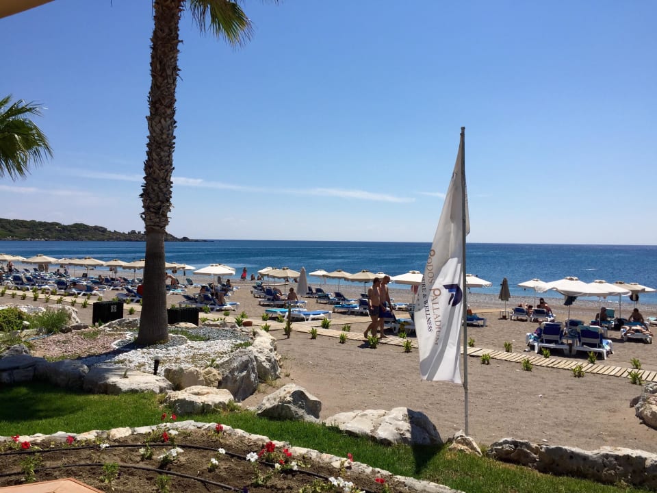 Meerblick von der Bar Rodos Palladium Leisure & Wellness