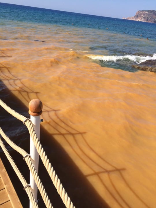 Abwassereinleitung vor Hotel am Strand Sunprime C-Lounge