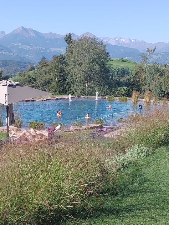 Pool Santre dolomythic home