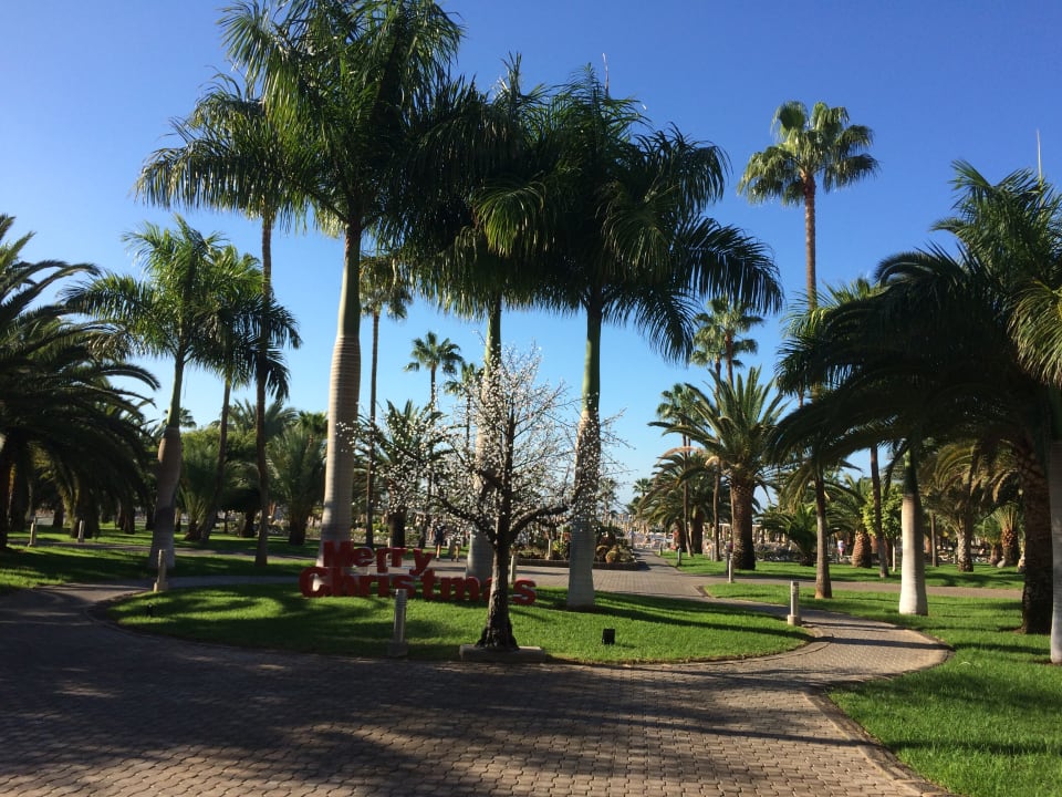 Gartenanlage Hotel Riu Gran Canaria