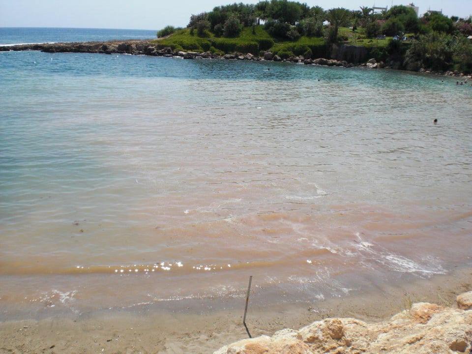 Meer Crystal Springs Beach Hotel