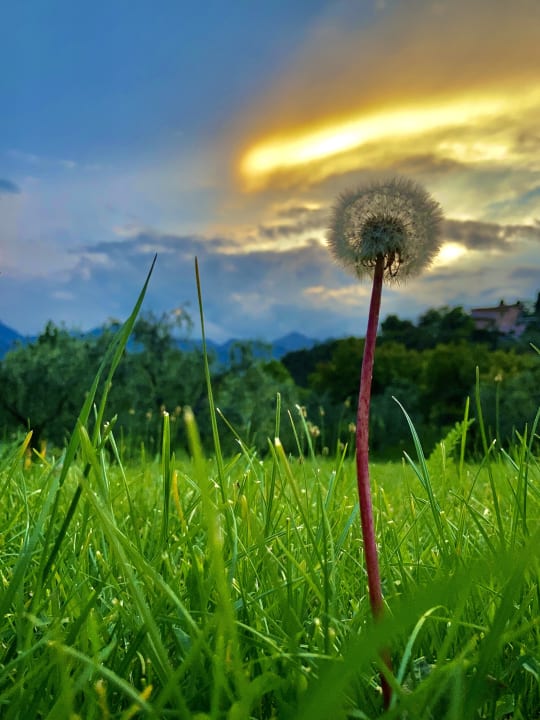 Gartenanlage Park Hotel Val Di Monte