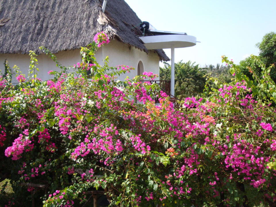 Ausblick vom Balkon Neptune Village Beach Resort & Spa