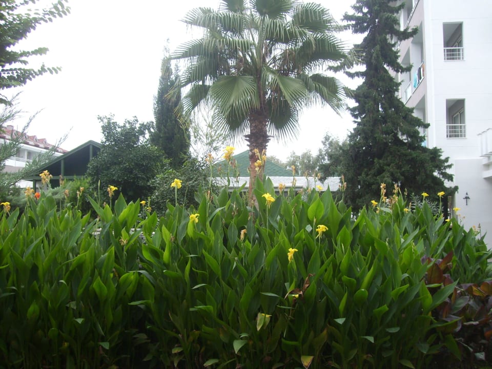 Schön und gepflegt Greenwood Kemer Resort