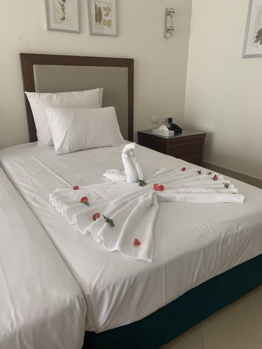 Zimmer Jaz Soma Beach