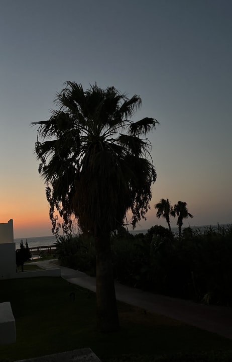 Ausblick Blue Sea Island