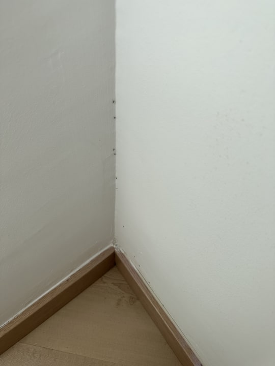 Zimmer Playa Esperanza Resort