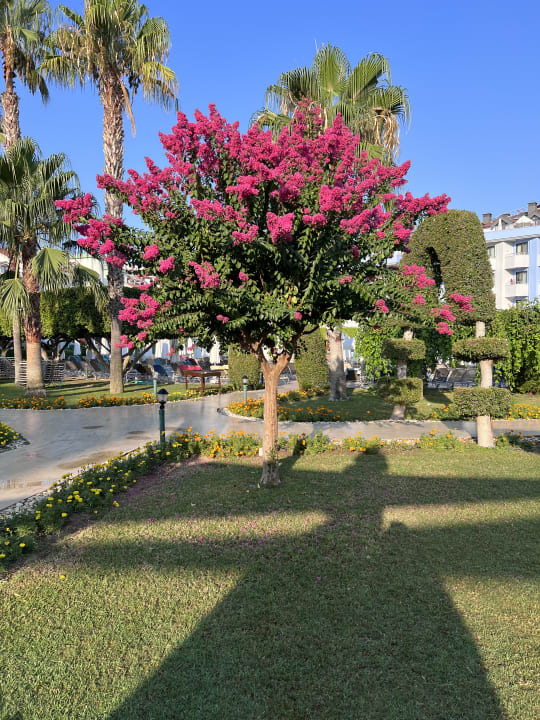 Gartenanlage Grand Seker Hotel