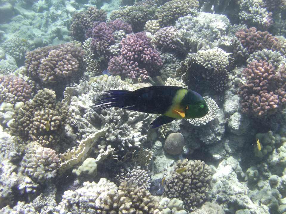 Sport & Freizeit Makadi Spa - Adults only