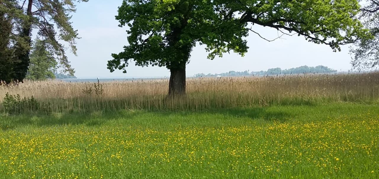 Blick zum See Schoiner See-Hotel