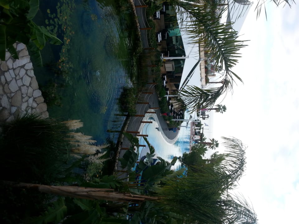 Blick vom Balkon Richtung Strand Paloma Pasha