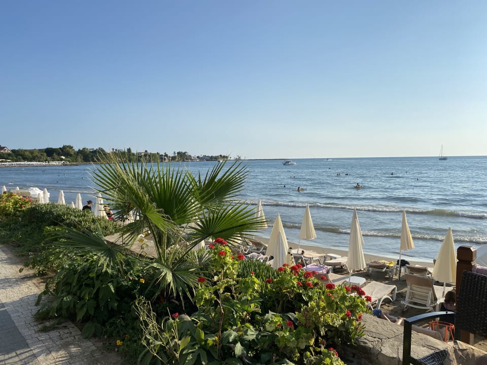 Strand Hotel Sayanora & Sayanora Park