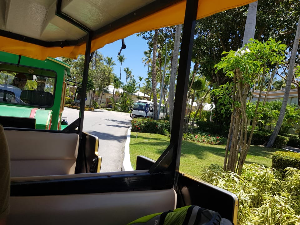 Sonstiges Hotel Grand Palladium Palace Resort, Spa & Casino