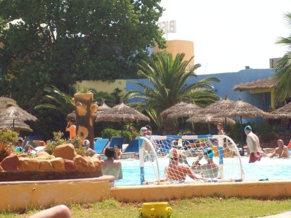 Pallanuoto in piscina Garden Caribbean World Hammamet Garden