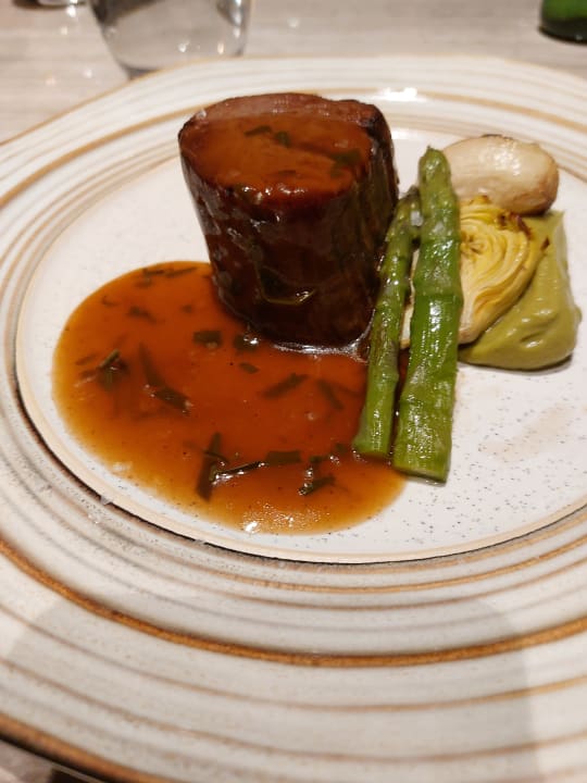 Gastro Acanthus Cennet Barut Collection