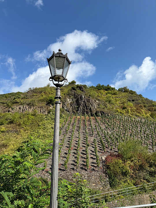 Ausblick Mosel Village Resort