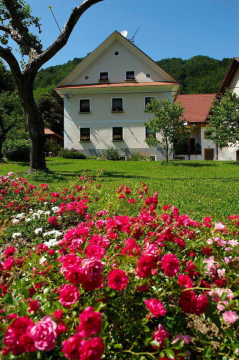 Garden Guesthouse Tourist Farm Zelinc