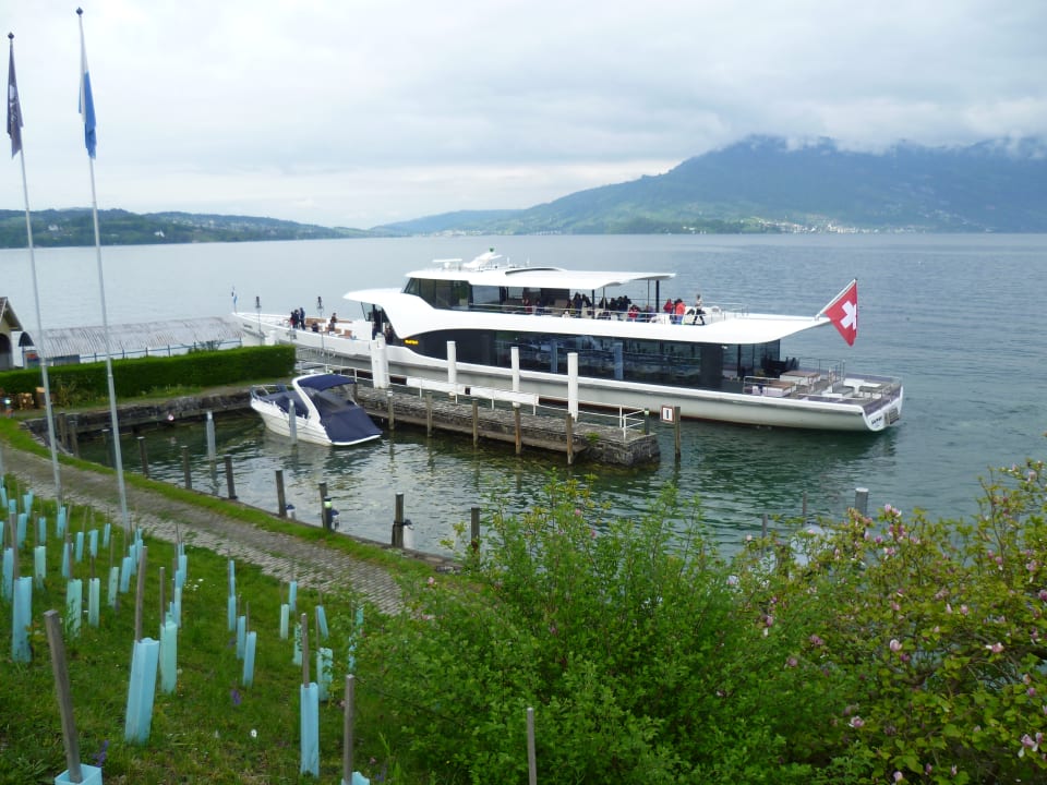 Ausblick Seehotel Kastanienbaum