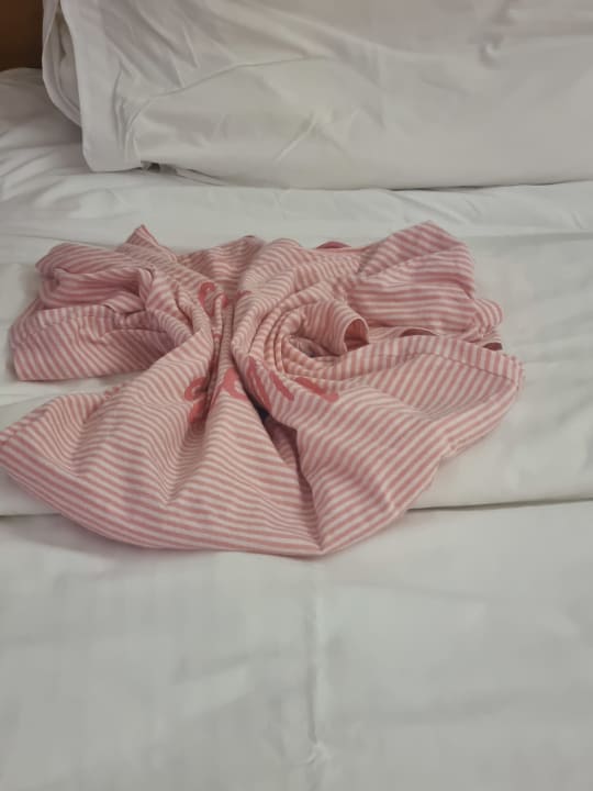 Zimmer High Beach Resort