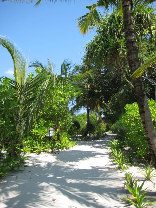 Viele Sandwege Kuredu Island Resort & Spa