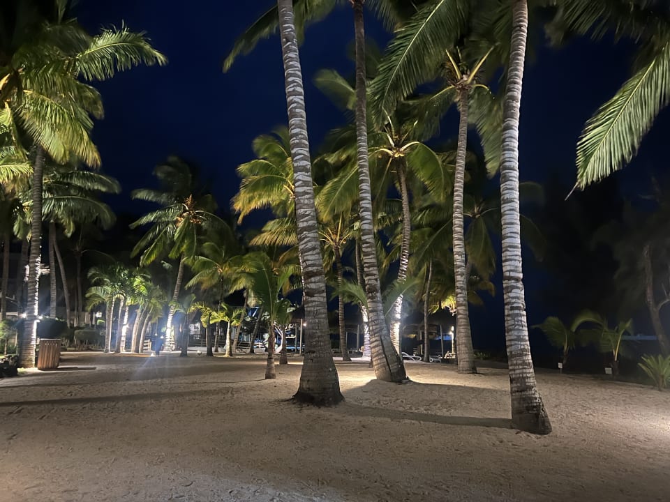 Gartenanlage Lagoon Attitude - Adults only