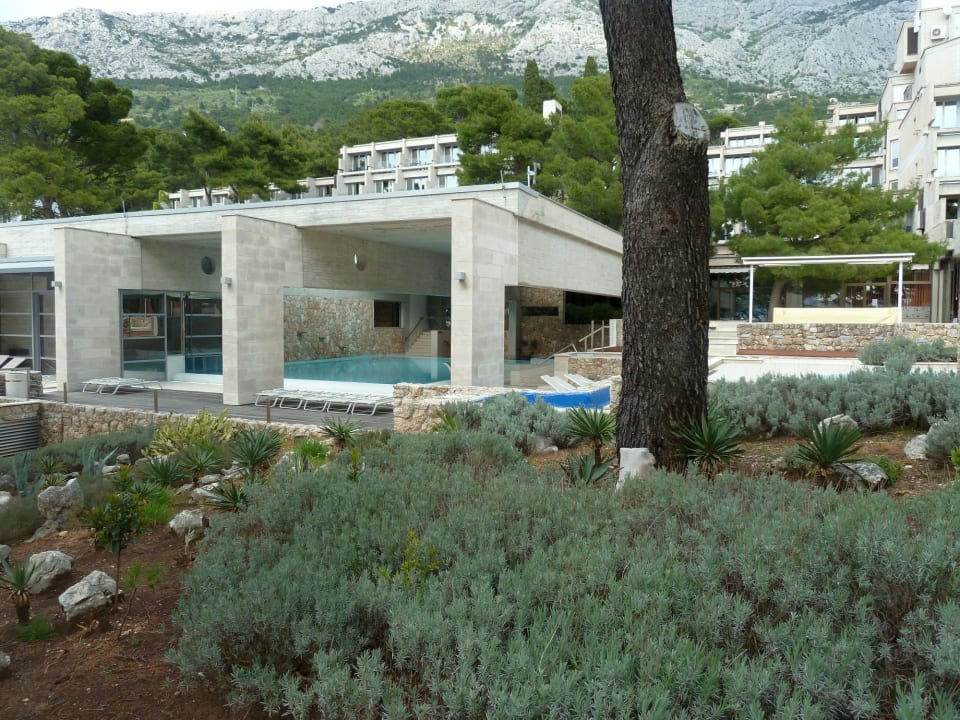 Überdachter Außenpool Bluesun Hotel Soline