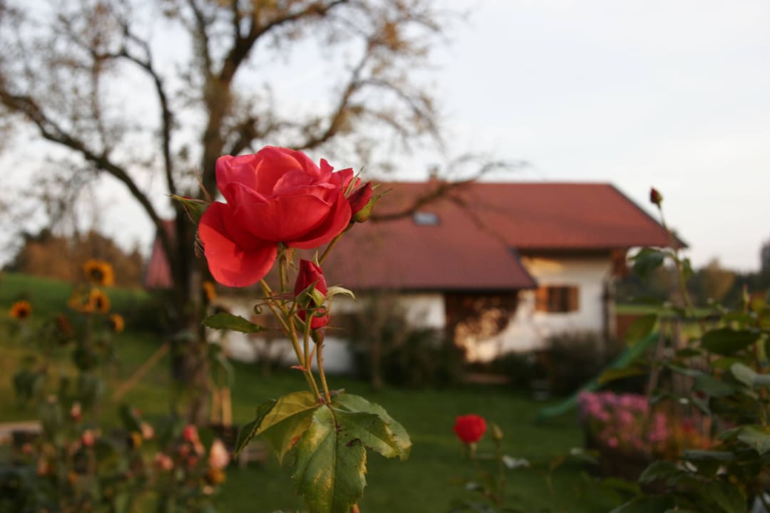 Austragshaus Kittelhof