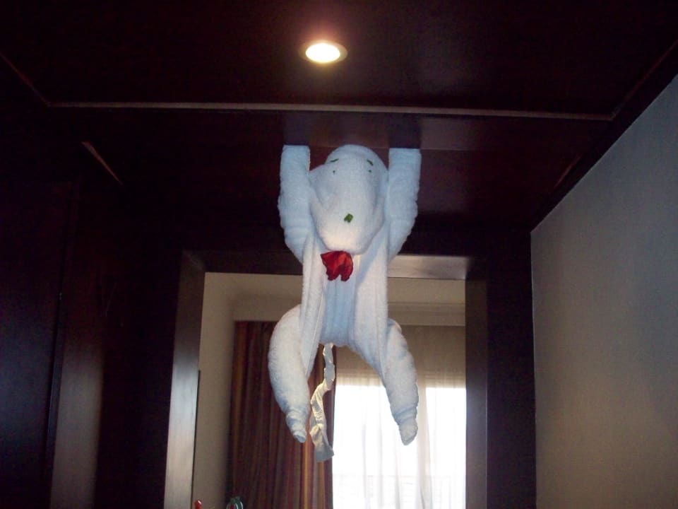 Malem me kleplo jak jsem se lekla Malikia Resort Abu Dabbab