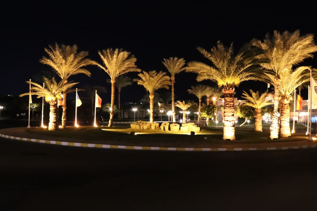 Gartenanlage Desert Rose