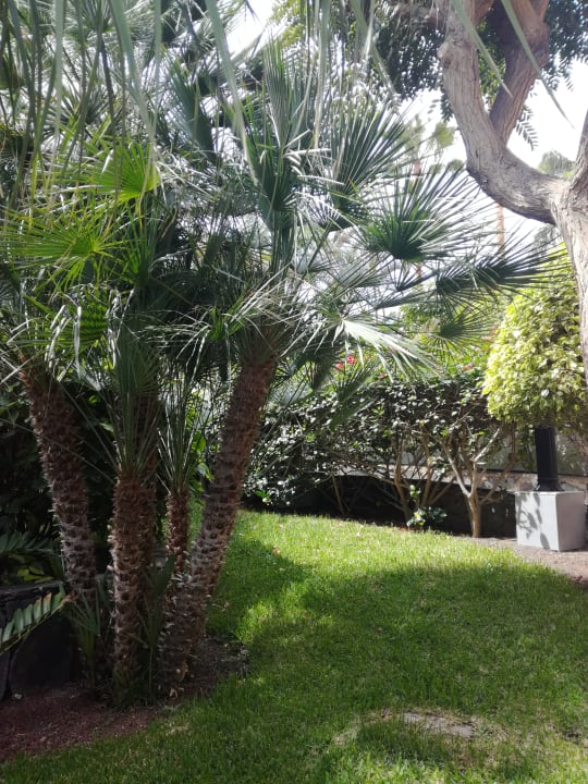 Gartenanlage allsun Hotel Lucana