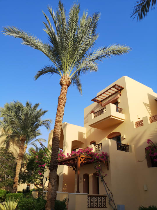 Gartenanlage Steigenberger Coraya Beach - Adults only