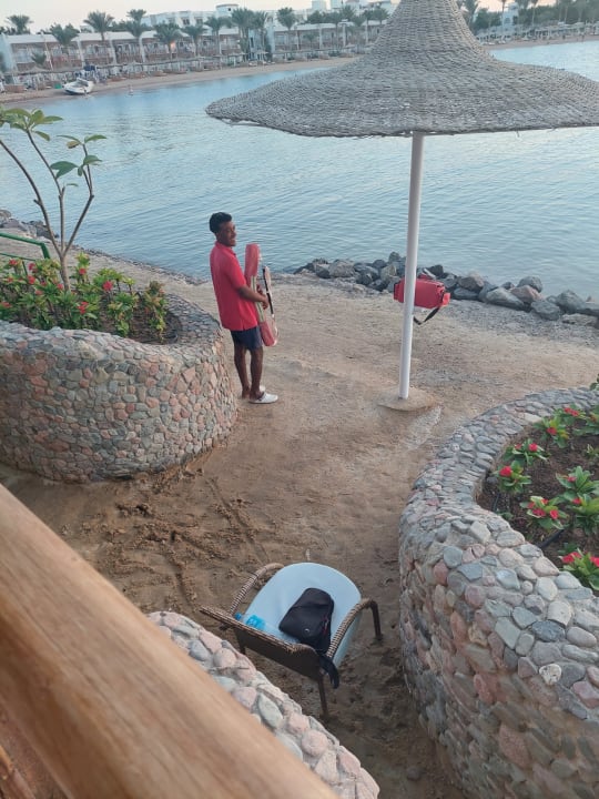 Ausblick Desert Rose