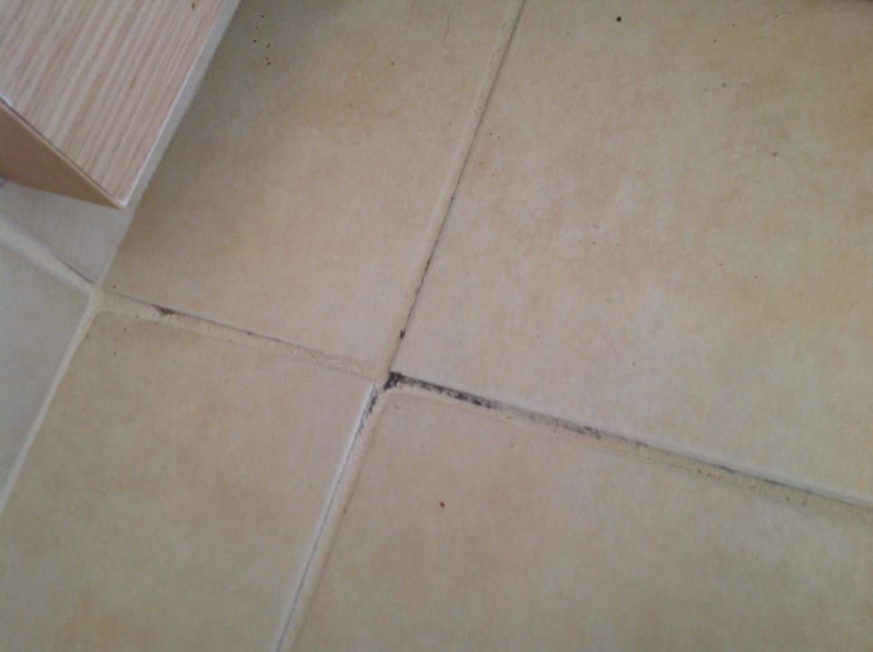 Schimmel in den Bodenfugen Kresten Palace Hotel