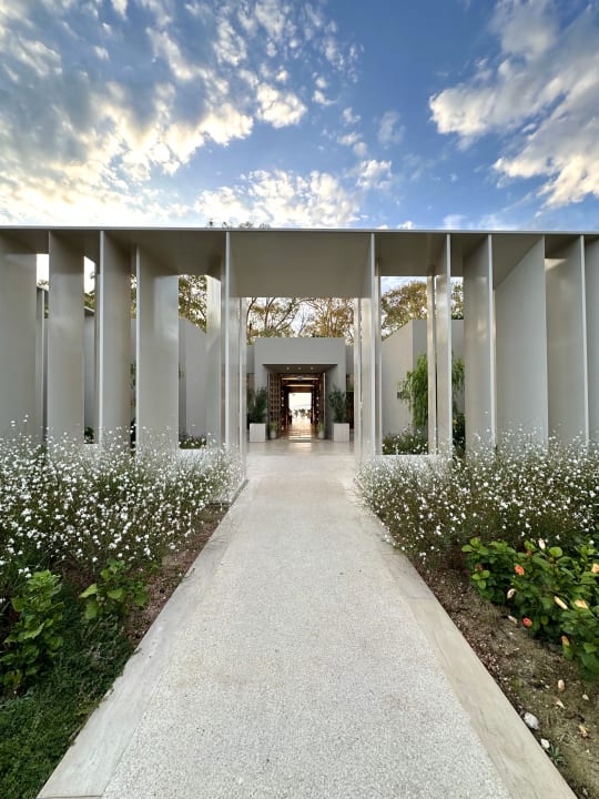 Sonstiges Ikos Odisia