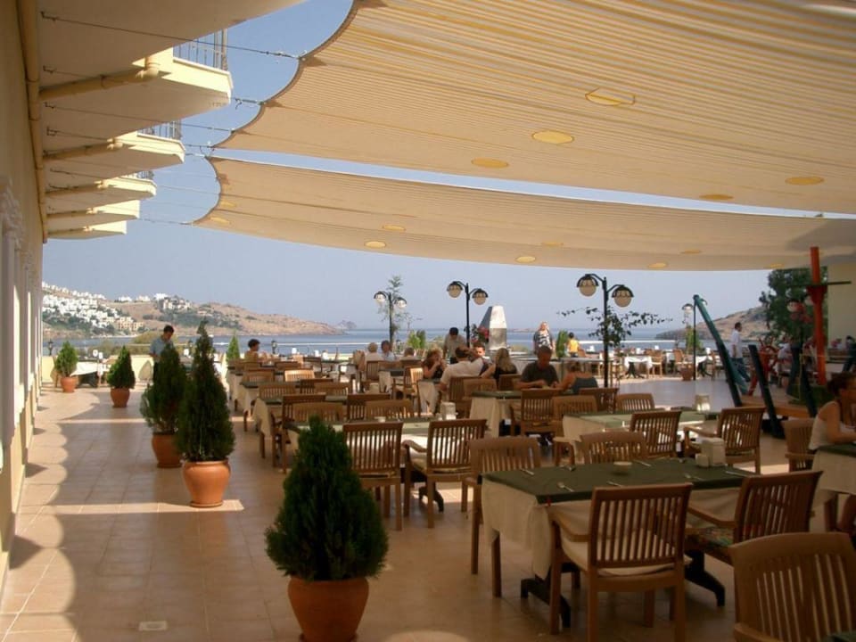 Terrasse Golden Age