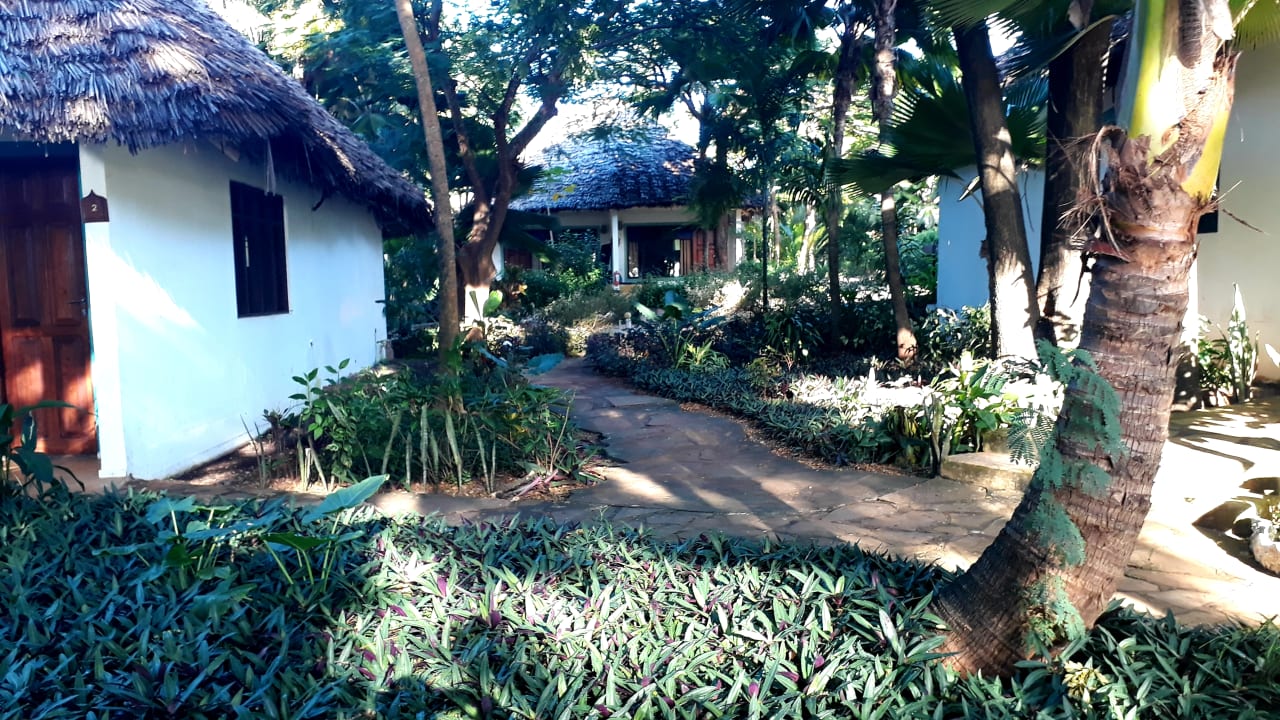 Gartenanlage Spice Island Hotel & Resort