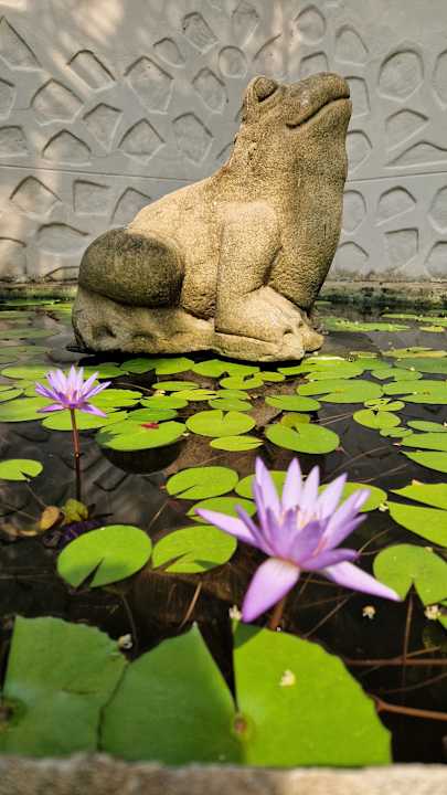 Gartenanlage Rummana Boutique Resort