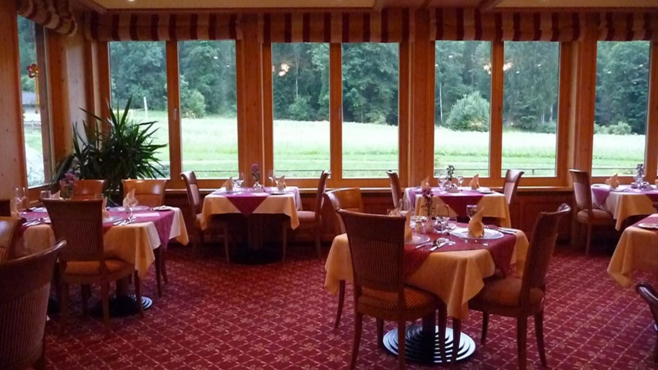 Blick von unserem Esstisch Alm- & Wellnesshotel Alpenhof