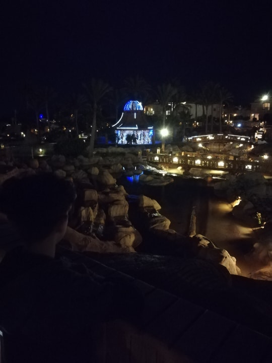 Gartenanlage Parrotel Beach Resort