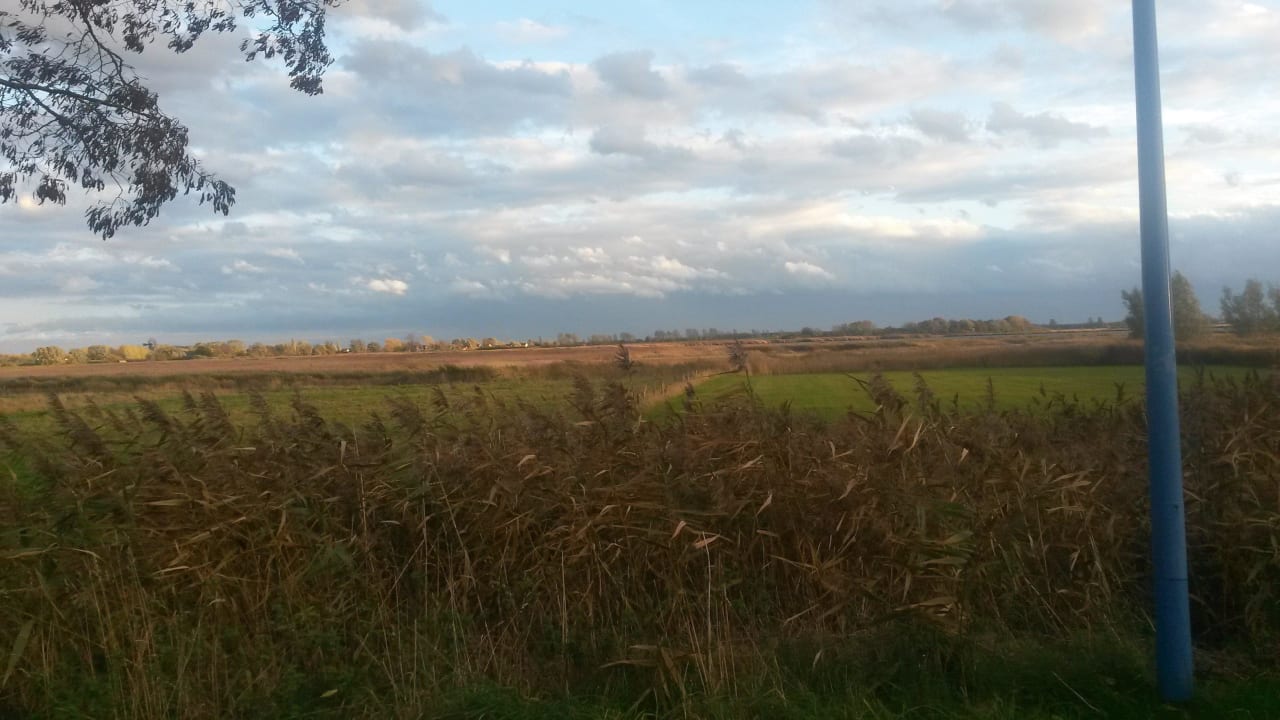 Blick über die Landschaft Land-gut-Hotel Zur Linde