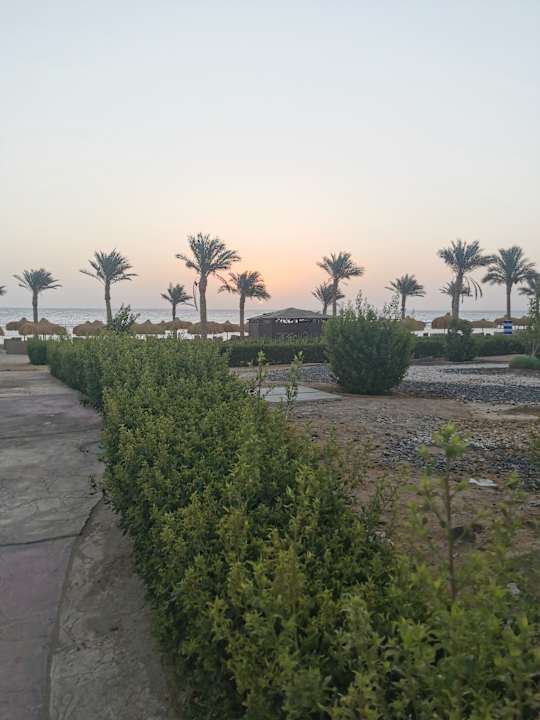 Gartenanlage Amarina Queen Resort Marsa Alam
