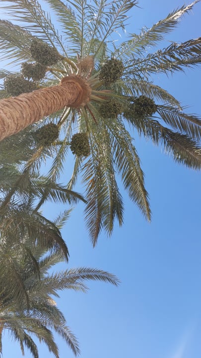 Ausblick Golden Beach Resort