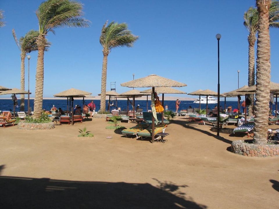 Starnd/Riff Bel Air Azur Resort - Adults only