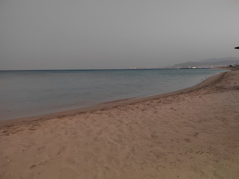 Strand Shams Prestige Abu Soma-Adults Only