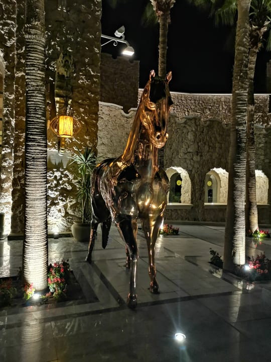 Sonstiges Pickalbatros Citadel Resort