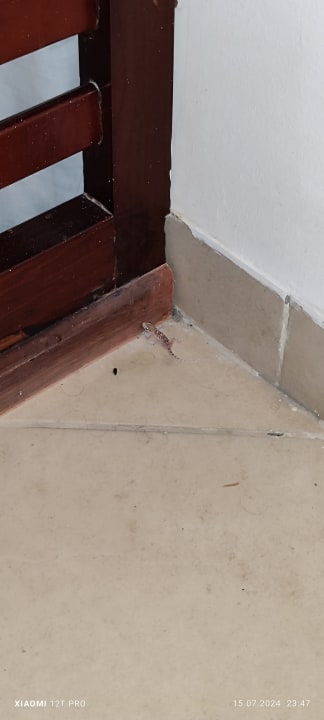 Zimmer Sentido Caribbean World Soma Bay