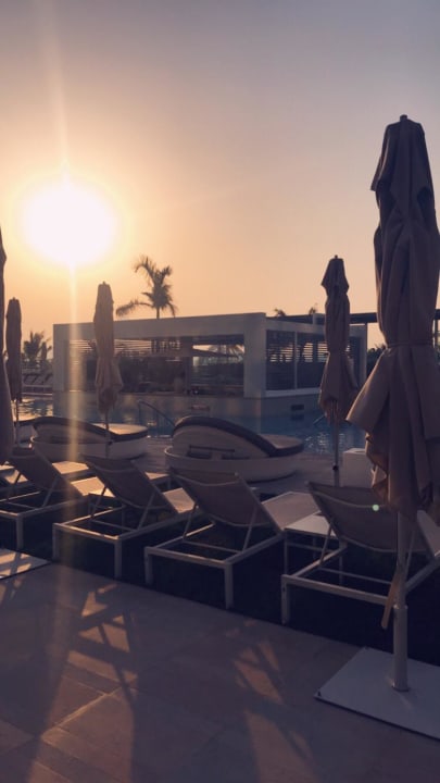 Pool W Dubai - The Palm