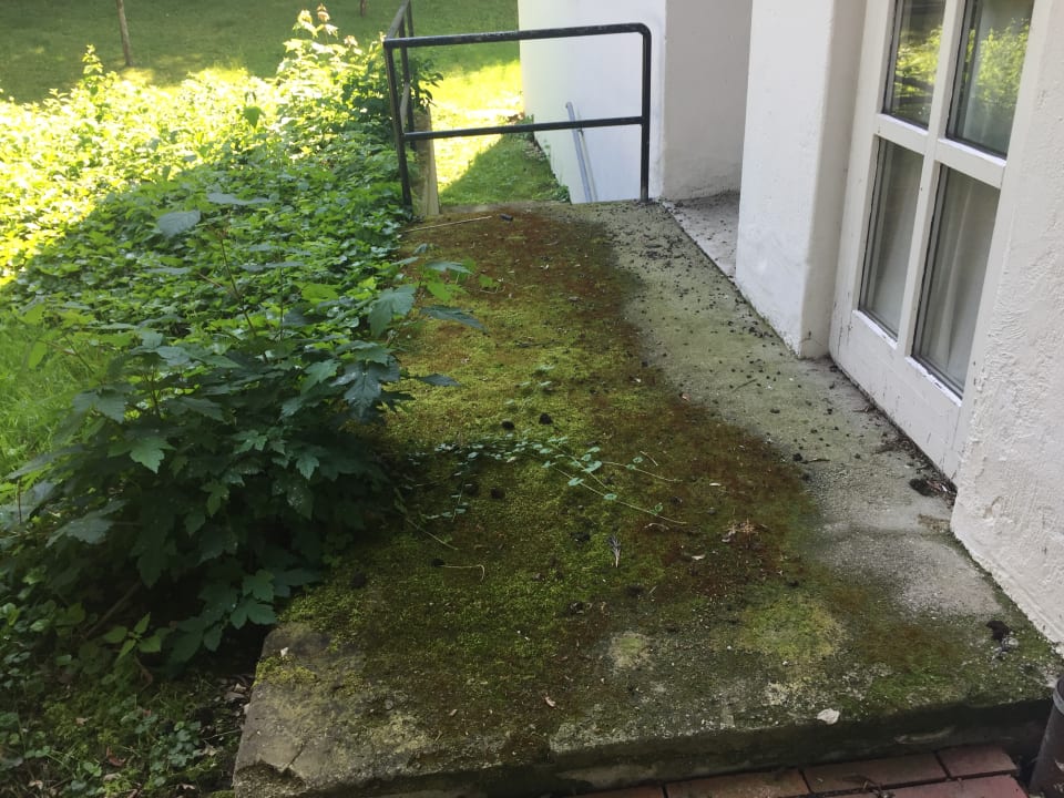 Gartenanlage Hotel Das Ludwig