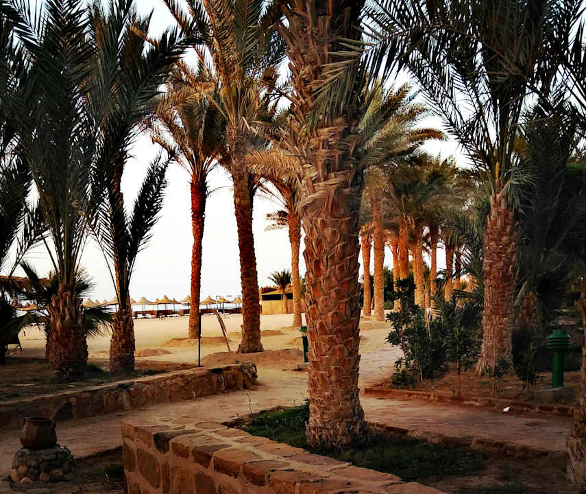 Gartenanlage Pensée Royal Garden Beach Resort